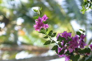 �ߋ�����A